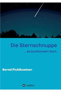 Die Sternschnuppe