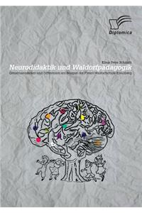 Neurodidaktik und Waldorfpädagogik