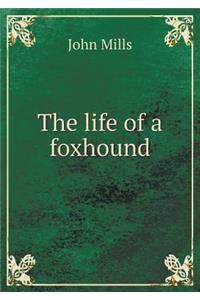 The life of a foxhound