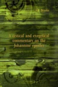 critical and exegetical commentary on the Johannine epistles