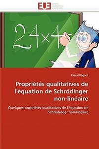 Propriétés qualitatives de l'équation de schrödinger non-linéaire