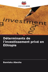 Déterminants de l'investissement privé en Éthiopie