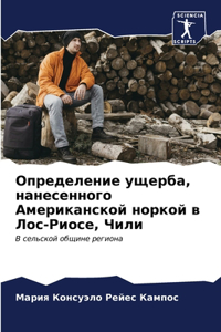 Определение ущерба, нанесенного Американ