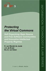 Protecting the Virtual Commons