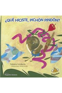 Que Hiciste, Pichon Pindon?