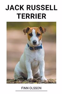 Jack Russell Terrier