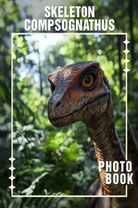 Skeleton Compsognathus Photo Book