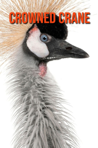 Crowned Crane