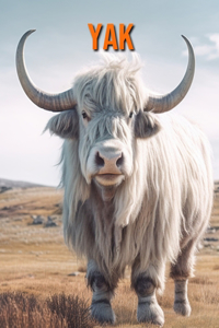 Yak
