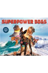 SuperPower Dogs