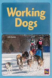 Working Dogs