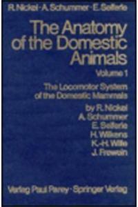 Anatomy Domestic Animals 1, Nickel et al