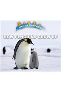 How Penguins Grow Up