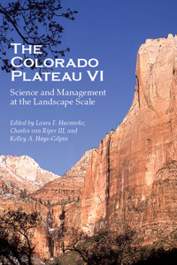 Colorado Plateau VI