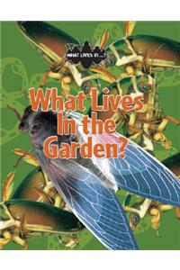 What Lives in the Garden?