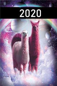 2020