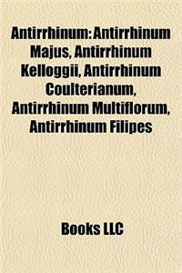 Antirrhinum Antirrhinum