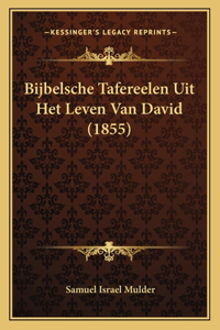 Bijbelsche Tafereelen Uit Het Leven Van David (1855)