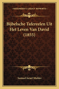 Bijbelsche Tafereelen Uit Het Leven Van David (1855)