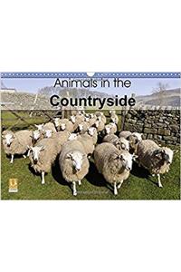 Animals in the Countryside 2017