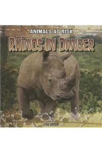 Rhinos in Danger