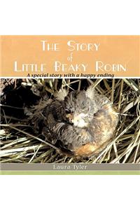 Story of Little Beaky Robin