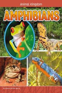 Amphibians