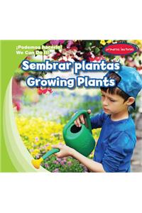 Sembrar Plantas / Growing Plants