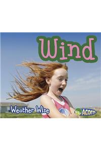Weather Wise Wind