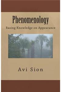 Phenomenology