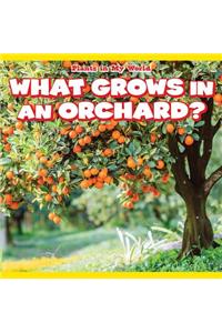 What Grows in an Orchard?