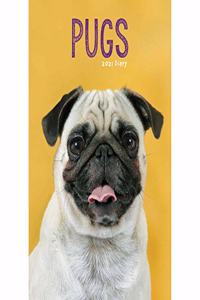 PUGS A5 DIARY 2021