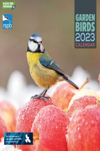 RSPB Garden Birds Square Wall Calendar 2023