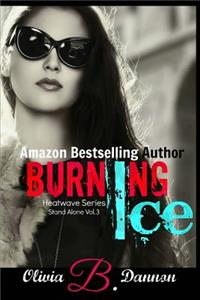 Burning Ice