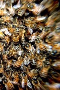 Apiarist (Journal / Notebook)