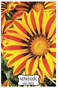 Notebook Journal Dot-grid, Graph, Lined, Blank No Lined Sunflower: Small Pocket Notebook Journal Diary, (Blank Notebook Journal)