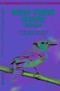 New York State Birds