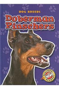 Doberman Pinschers