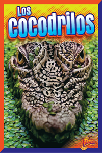 Cocodrilos