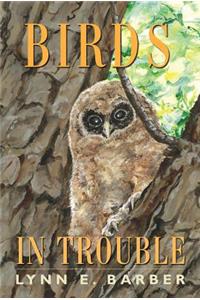 Birds in Trouble