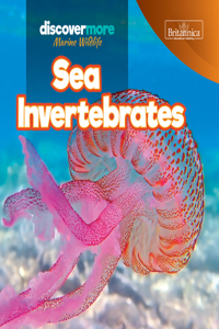 Sea Invertebrates