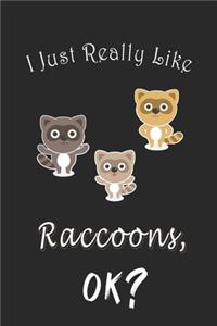 I Just Really like Raccoons, OK ? Journal