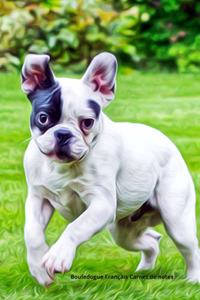 Bouledogue Français Carnet de notes
