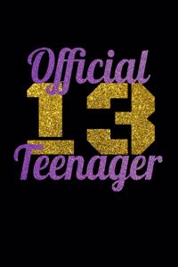 Official 13 Teenager