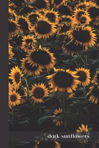 dark sunflowers