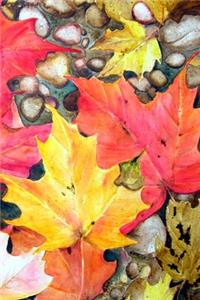 Fall Leaves