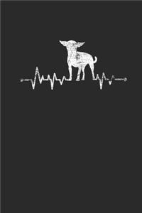 Chihuahua Heartbeat