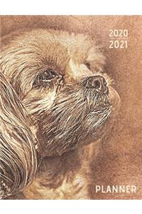 2020-2021 Planner