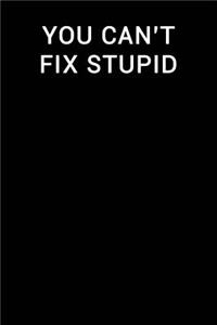 You Can't Fix Stupid