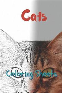Cat Coloring Sheets